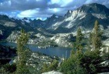 Wildlife Discovery Expedition